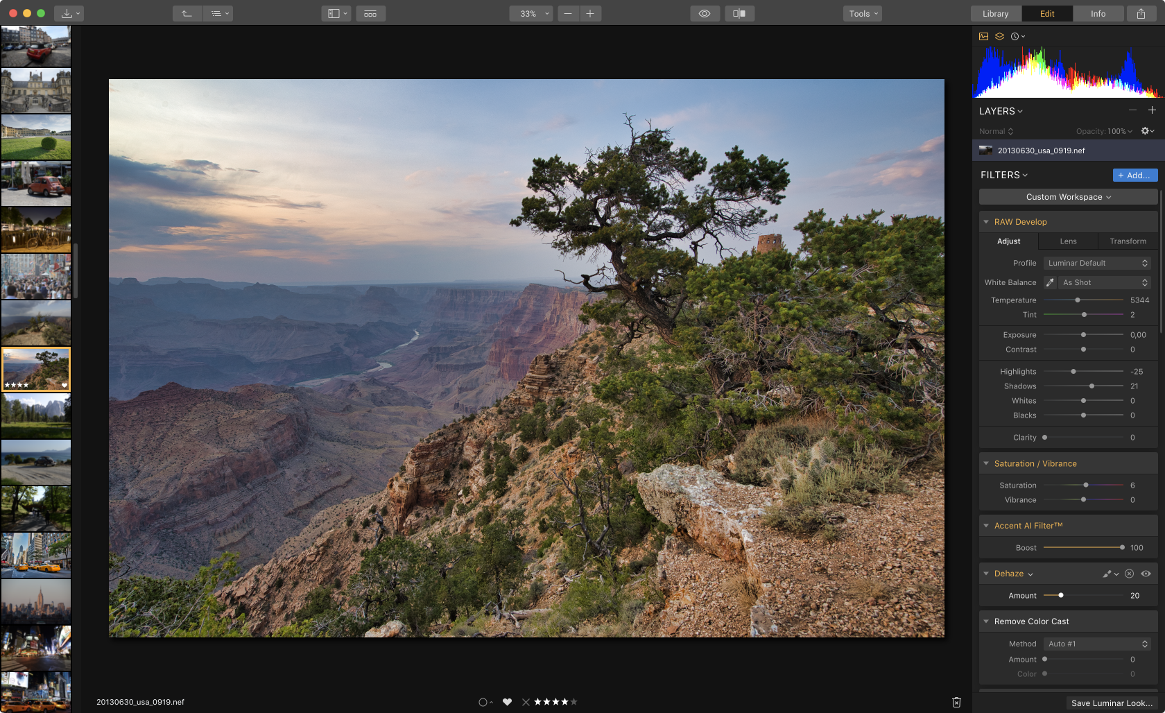 Everything You Need to Know About Luminar with Libraries | Skylum Blog(3)