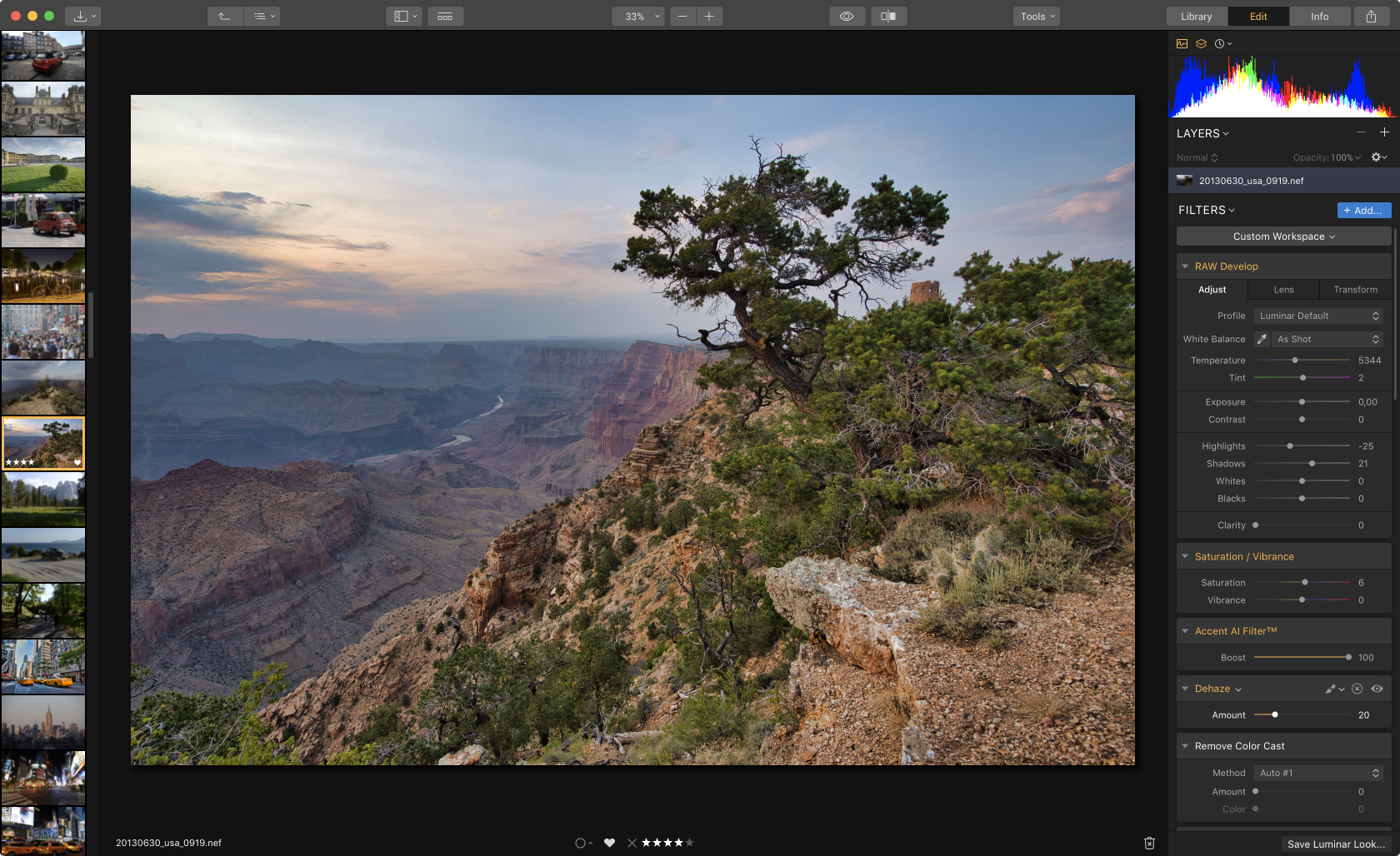 Everything You Need to Know About Luminar with Libraries(4)