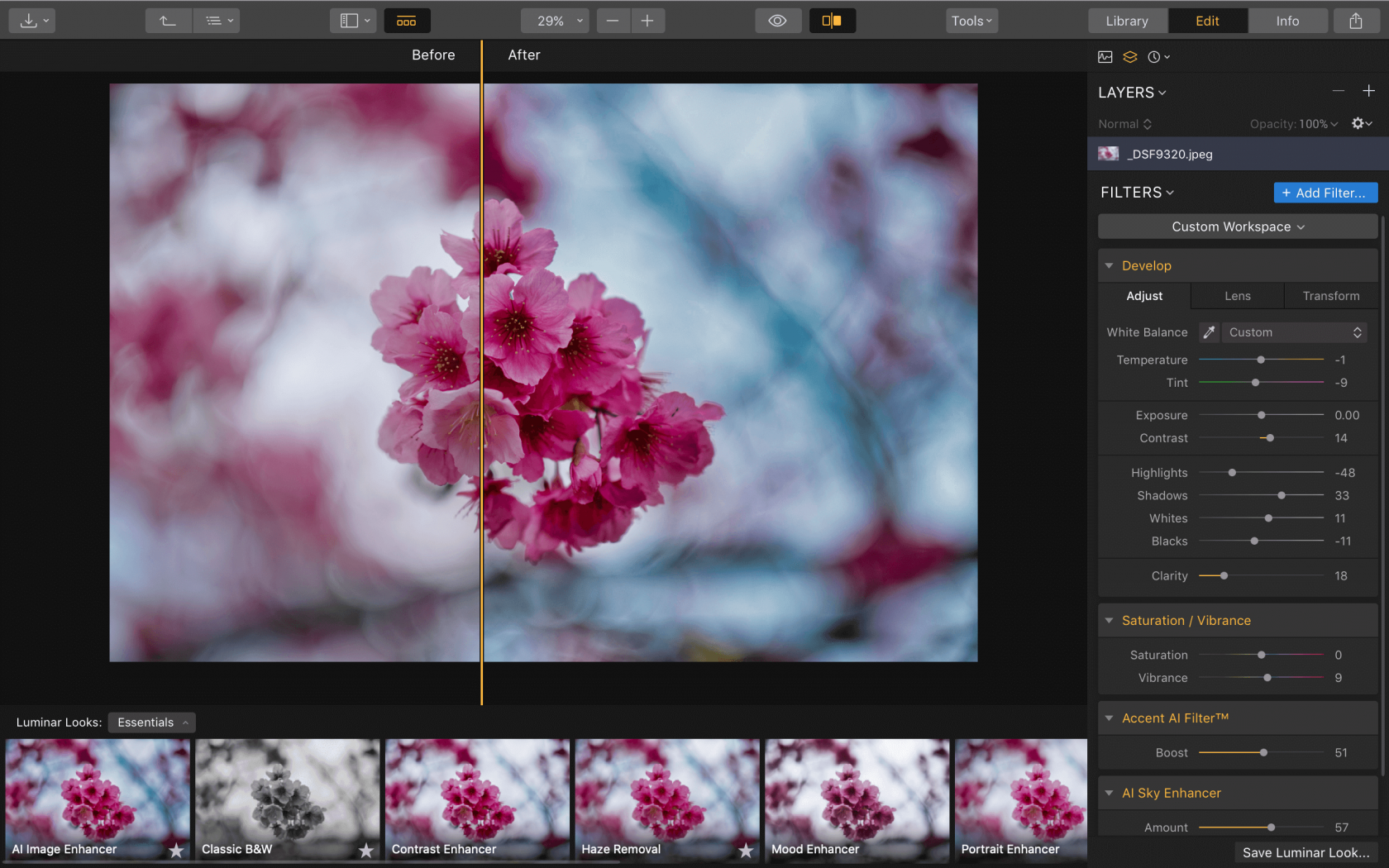 Macro Photography Guide: How to Capture the World in Macro(8)