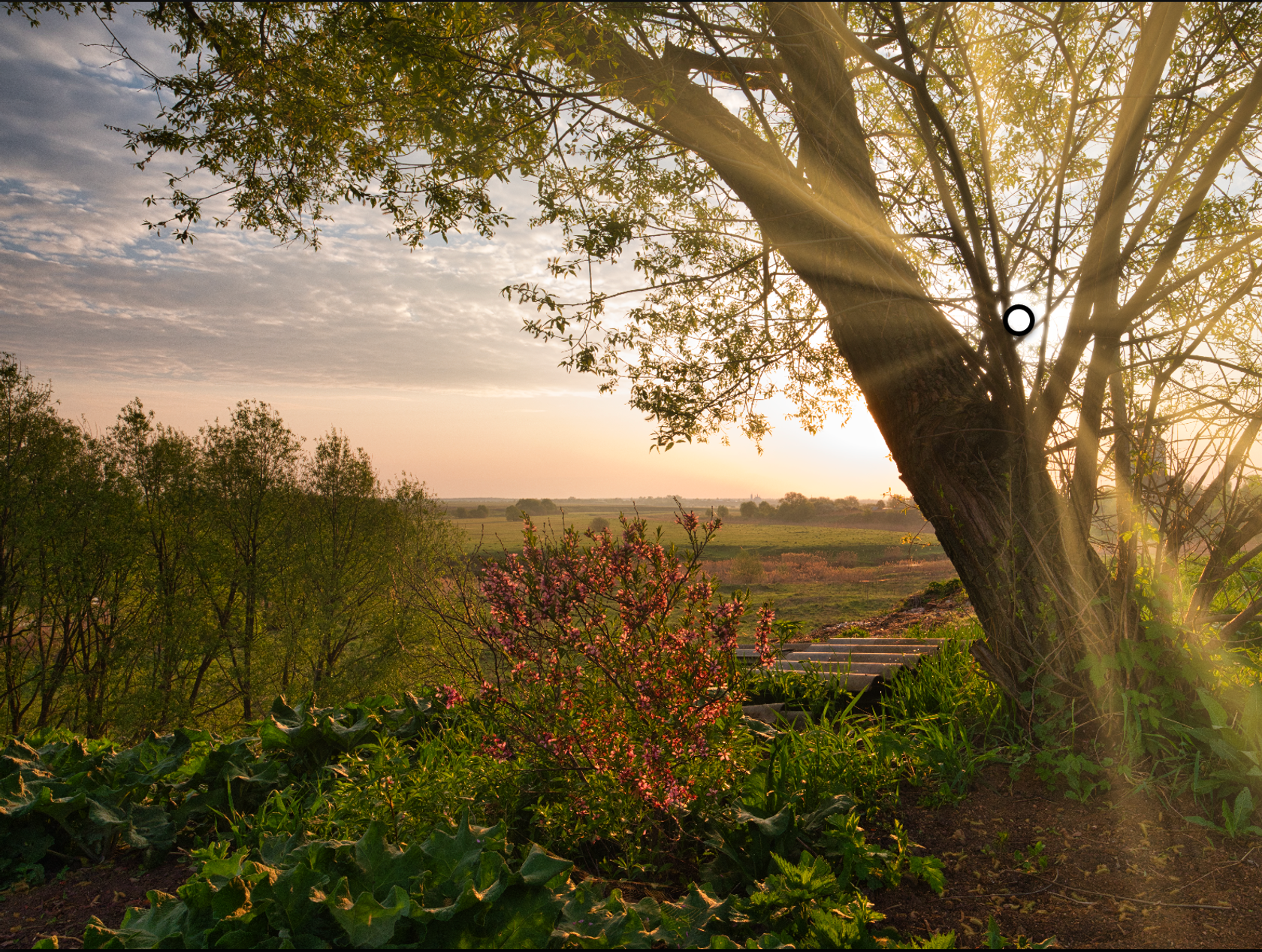 Skylum Ambassador Elena Liseykina Shares Her 10 favorite Luminar filters(8)