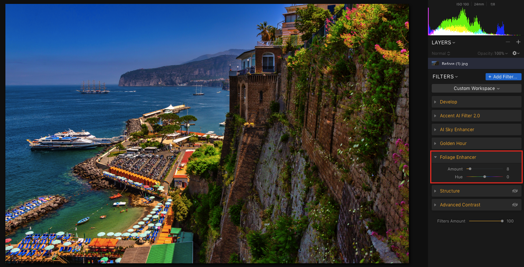 Skylum Ambassador Paulo Costa Reveals His Post-Processing Workflow(7)