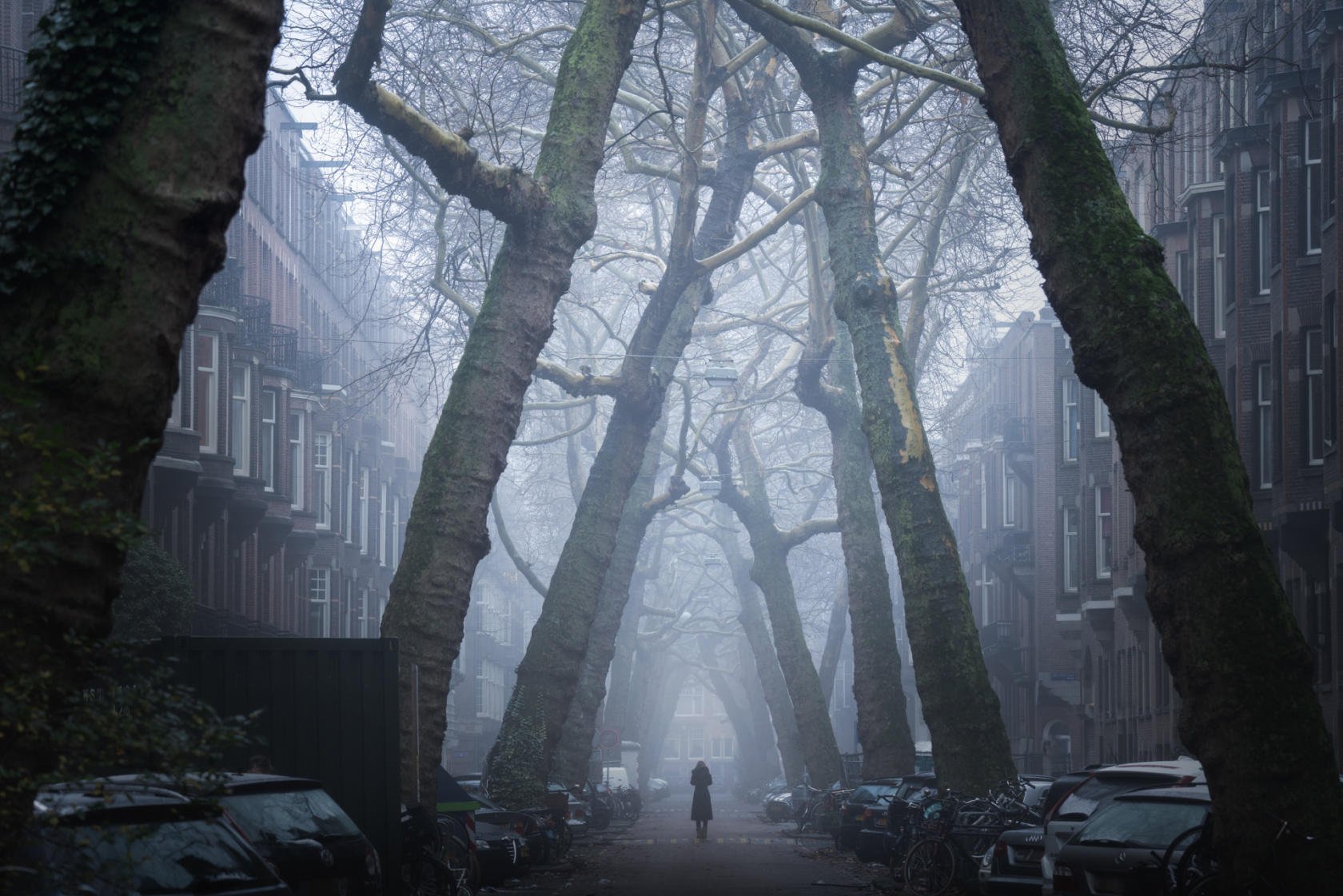 20 Photos of My Hometown of Amsterdam During Different Seasons | Skylum Blog(9)