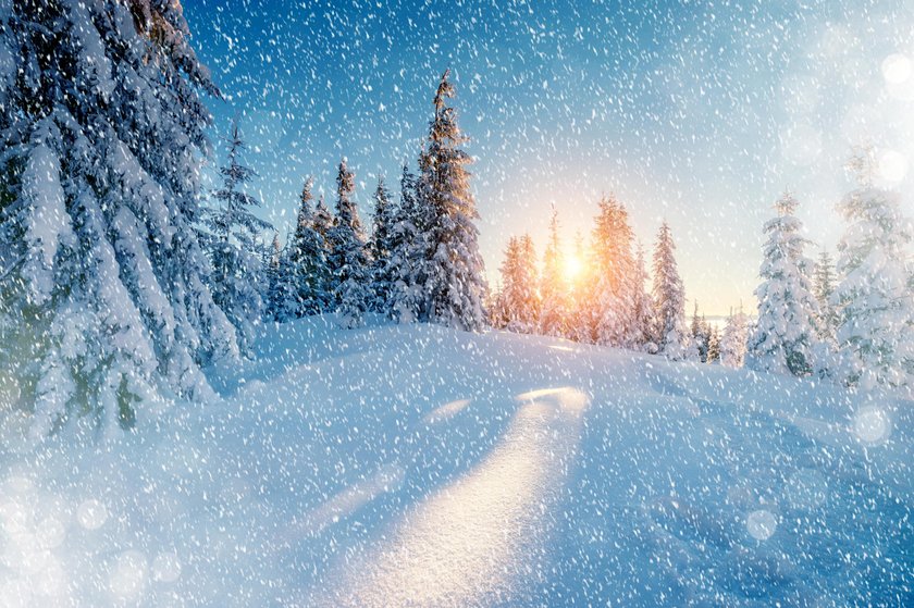 Christmas Scenes: Basic Rules for a Photoshoot (7)