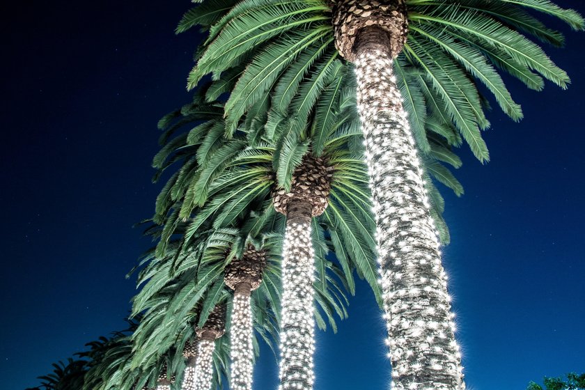 Learn the Best Ways to Capture Christmas Lights(5)