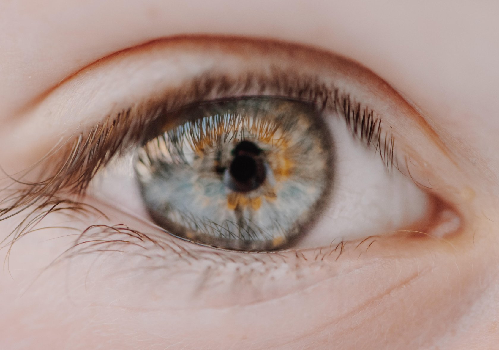 Macro Photography Guide: How to Capture the World in Macro(9)