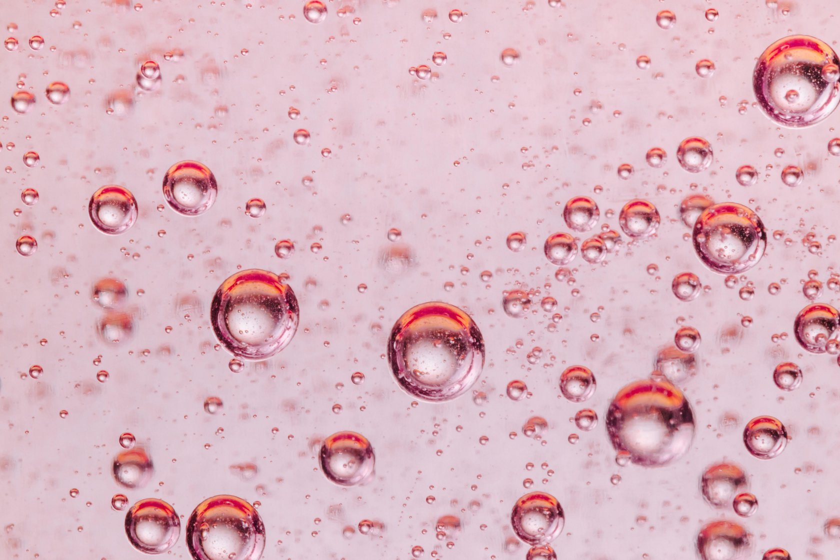 Macro Photography Guide: How to Capture the World in Macro(15)