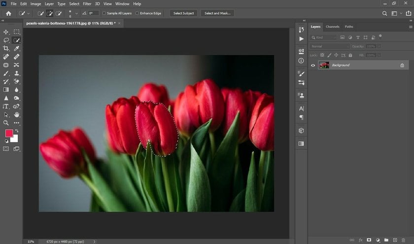 How to use color replacement tool: Photoshop tutorial 2024 Image12