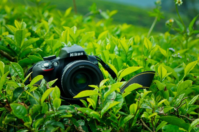 The Best Nikon Cameras for Beginners | Skylum Blog(3)