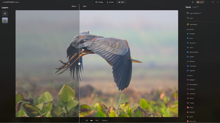 How to Sharpen Blurry Images of Wildlife with Supersharp AI? | Skylum Blog(2)