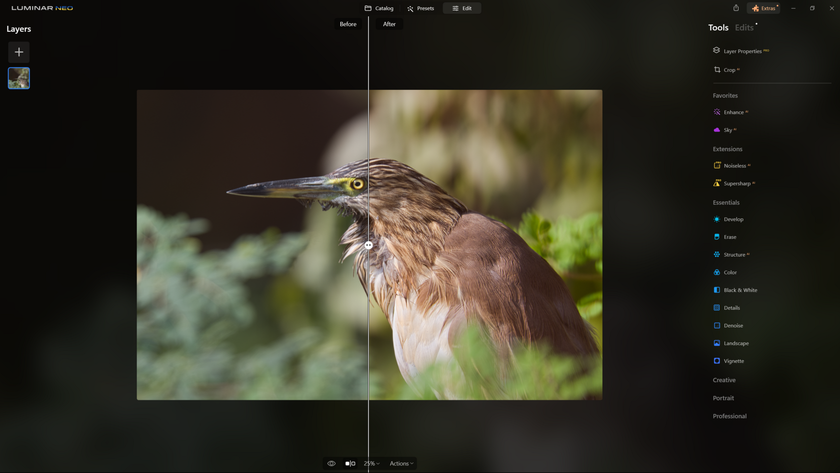 How to Sharpen Blurry Images of Wildlife with Supersharp AI? | Skylum Blog(3)