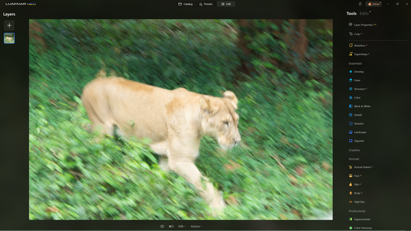 How to Sharpen Blurry Images of Wildlife with Supersharp AI? | Skylum Blog(5)