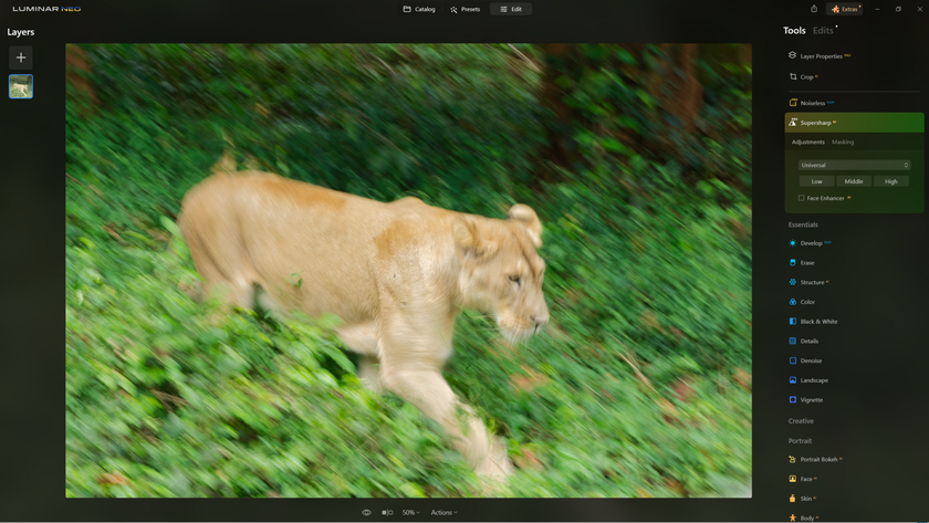 How to Sharpen Blurry Images of Wildlife with Supersharp AI? | Skylum Blog(7)