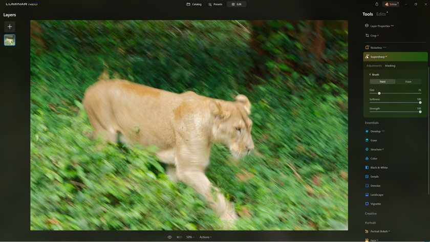 How to Sharpen Blurry Images of Wildlife with Supersharp AI? | Skylum Blog(9)