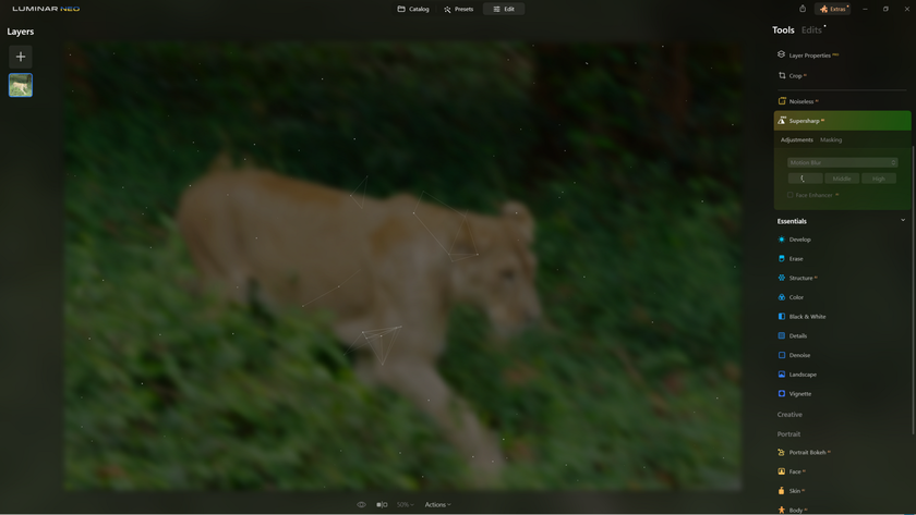 How to Sharpen Blurry Images of Wildlife with Supersharp AI? | Skylum Blog(12)
