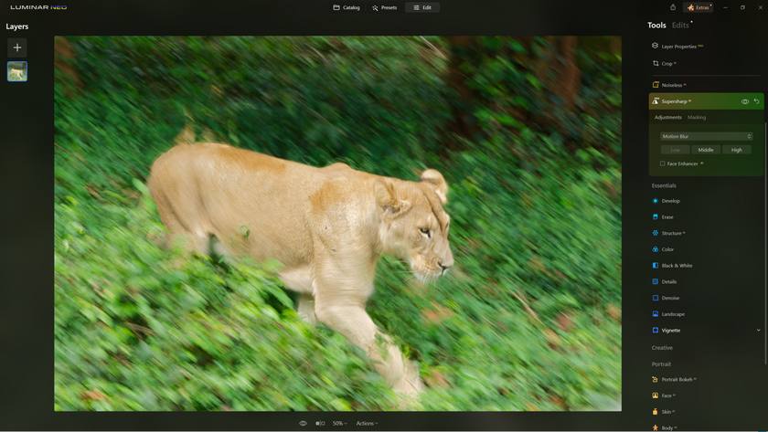 How to Sharpen Blurry Images of Wildlife with Supersharp AI? | Skylum Blog(13)