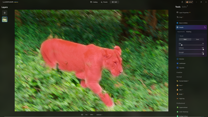 How to Sharpen Blurry Images of Wildlife with Supersharp AI? | Skylum Blog(16)