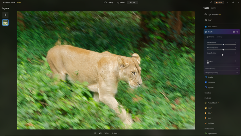 How to Sharpen Blurry Images of Wildlife with Supersharp AI? | Skylum Blog(17)