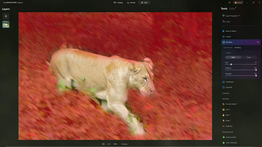 How to Sharpen Blurry Images of Wildlife with Supersharp AI? | Skylum Blog(18)