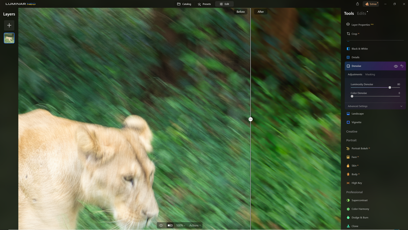 How to Sharpen Blurry Images of Wildlife with Supersharp AI? | Skylum Blog(19)