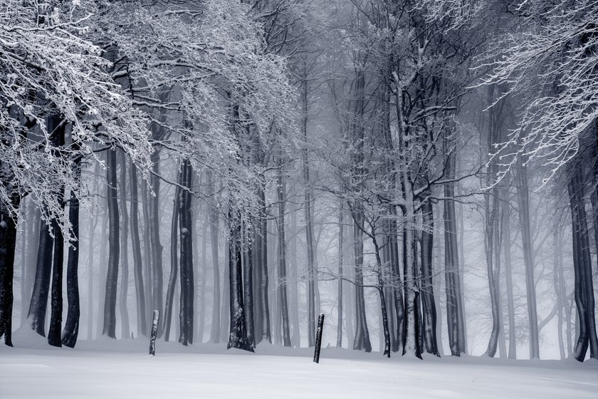 Ideen für frostig schöne Winterbilder | Skylum Blog(2)