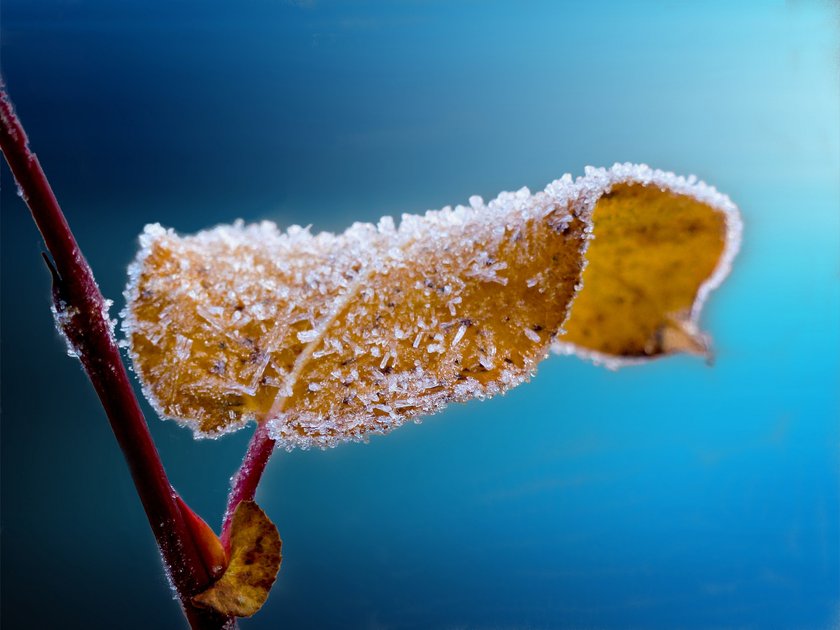 Ideen für frostig schöne Winterbilder | Skylum Blog(4)