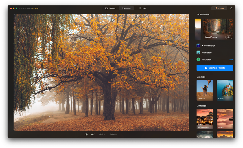 How To Photograph Fall Foliage And Capture The Vibrant Beauty I Skylum Blog | Skylum Blog(7)