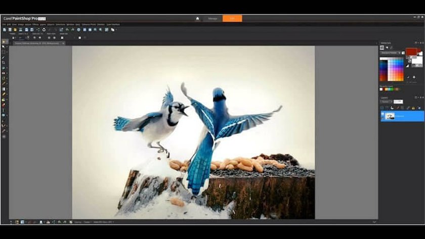 17 Migliori Software Di Editing Fotografico Per Principianti: Gratuiti, Di Prova E A Pagamento | Skylum Blog (7)