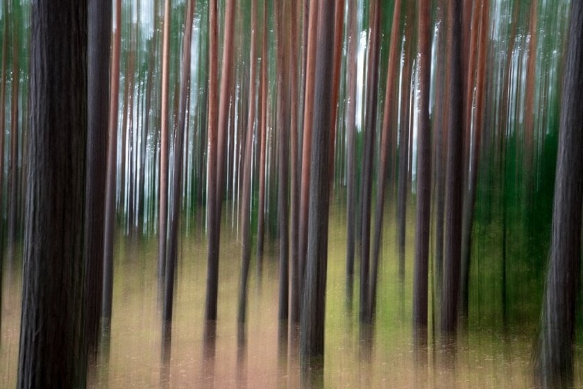 Taming the Unpredictable: Mastering Intentional Camera Movement Photography | Skylum Blog(2)
