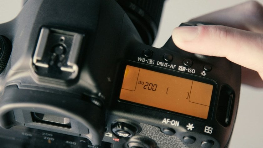 Taming the Unpredictable: Mastering Intentional Camera Movement Photography | Skylum Blog(8)