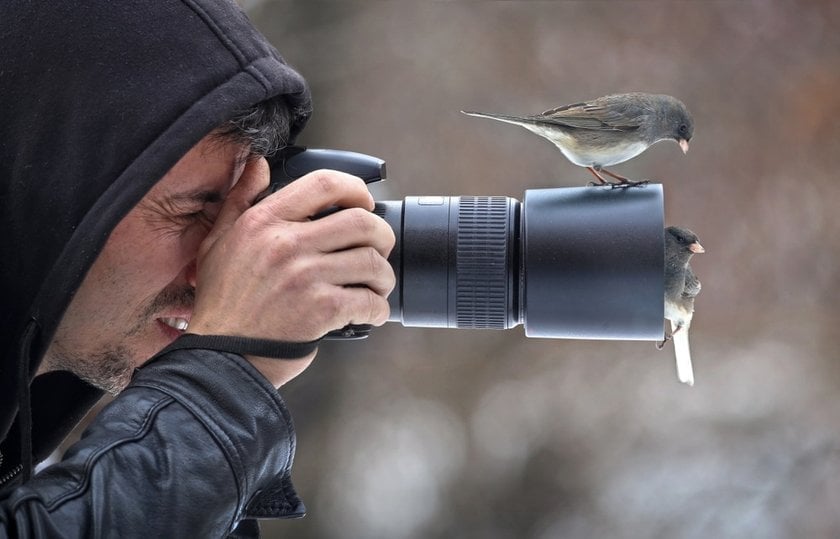 How To Photograph Birds: Techniques For Every Photographer | Skylum Blog(3)