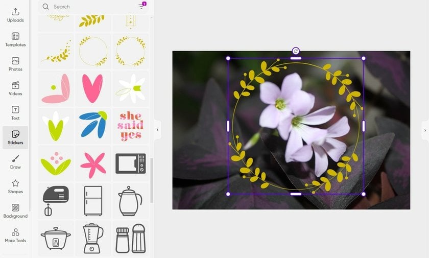 How To Add Stickers To Photos For A Creative Flair | Skylum Blog(8)