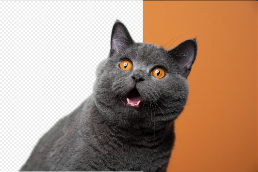 How To Make A Photo Transparent: Tips For Flawless Edits Image11