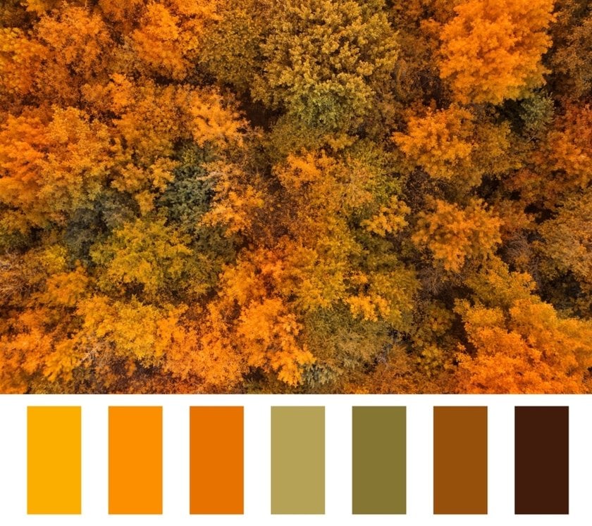 Autumn colors | Skylum Blog