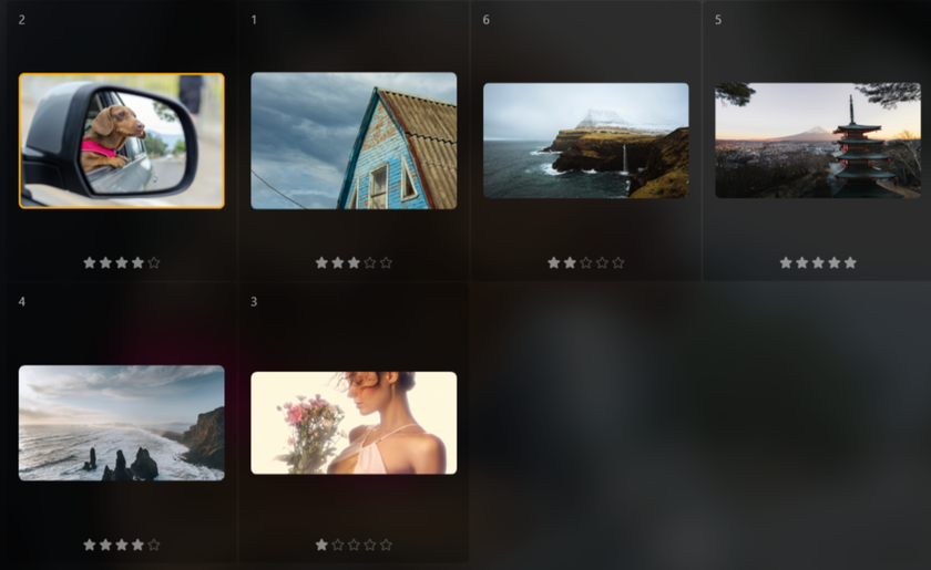 Marking photos with stars in Luminar Neo | Skylum Blog