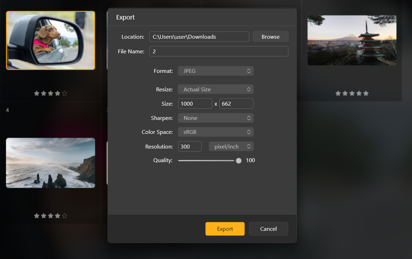 Photo export settings in Luminar Neo | Skylum Blog