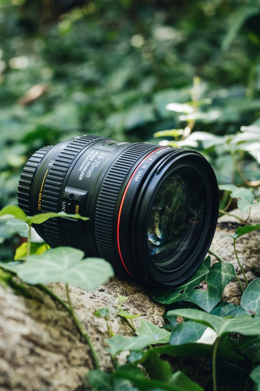 10 the Best Canon Lenses in 2024 | Skylum Blog(11)