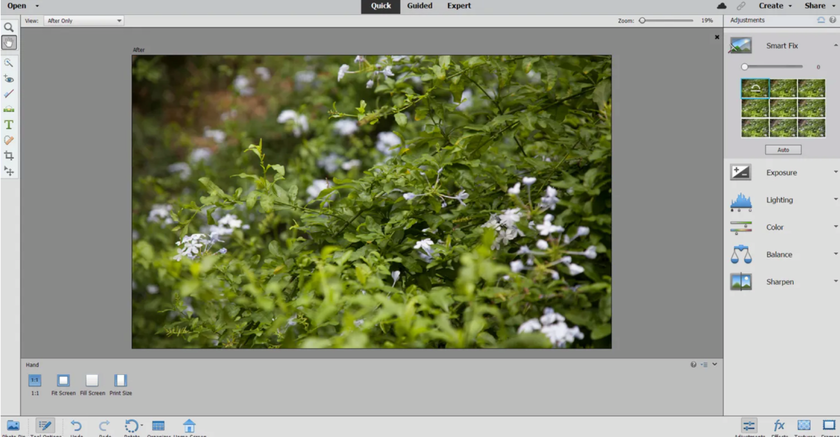Who and when can use Photoshop Elements | Skylum Blog