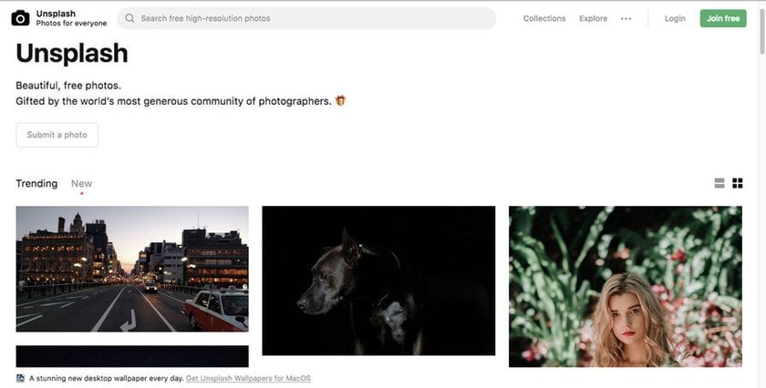 Stock Photo Sites Uncovered: Free and Paid Options for High-Quality Photos | Skylum Blog(6)