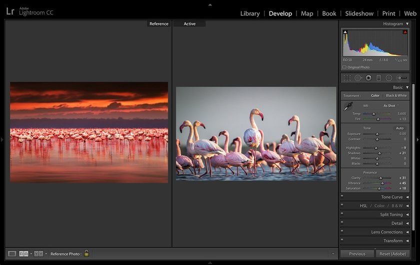 10 Best Adobe Lightroom Alternatives (2023) I Skylum Blog(2)