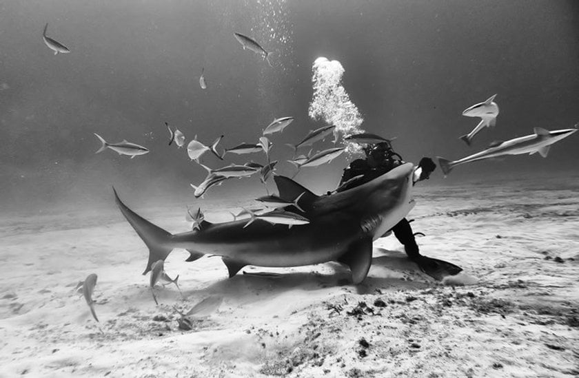 Photo inspiration: Anuar Patjane & Underwater Realm | Skylum Blog(8)