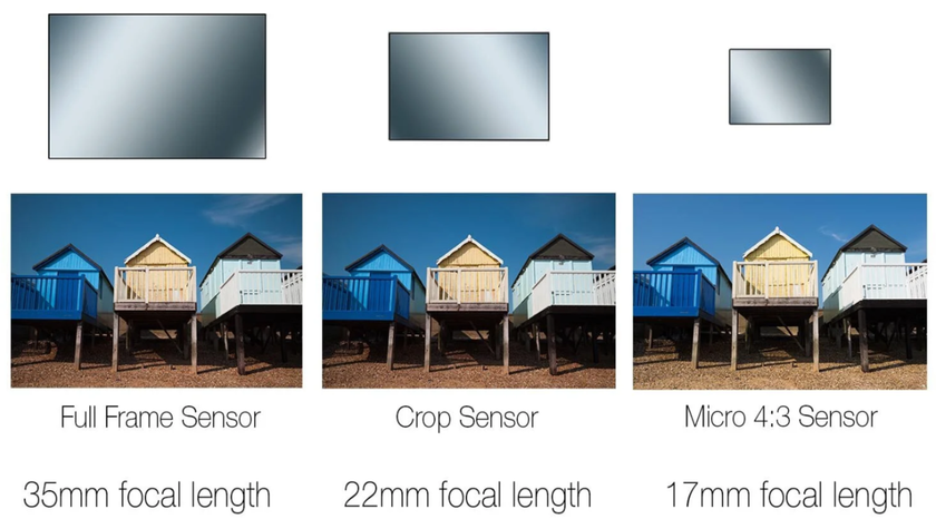 Different crop sensor sizes and photos | Skylum Blog