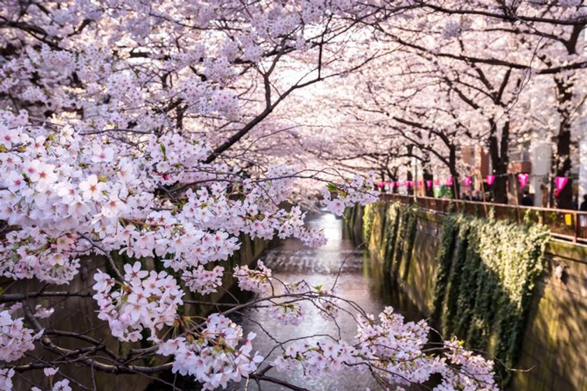 HDR レンズを通して見る世界:日本(13)