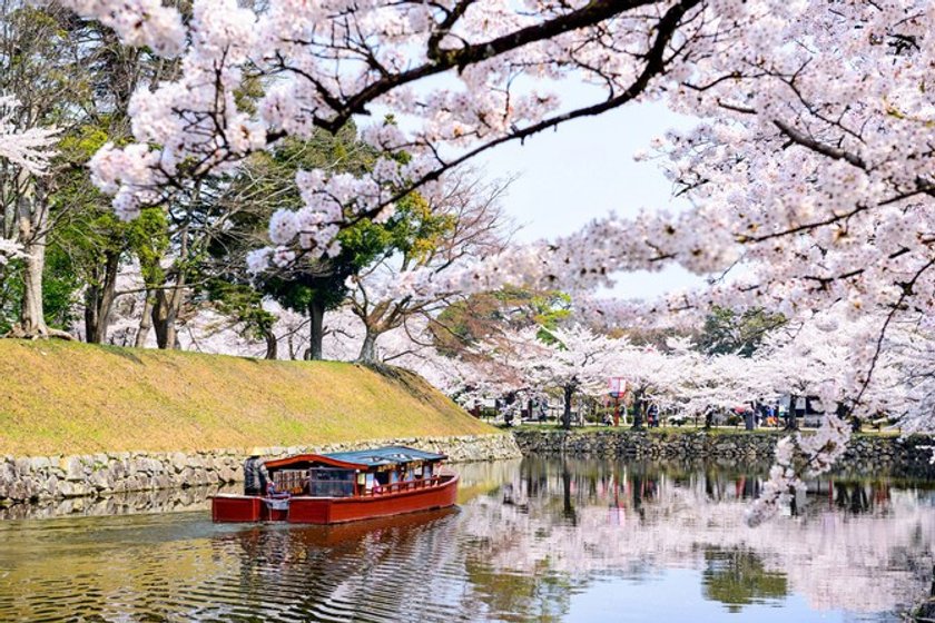 HDR レンズを通して見る世界:日本(17)