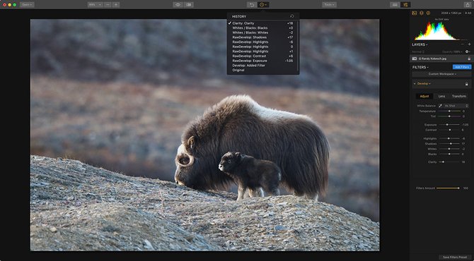 Image Makeover: Using the History Panel with Luminar 2018 | Skylum Blog(3)