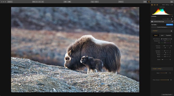 Image Makeover: Using the History Panel with Luminar 2018 | Skylum Blog(4)
