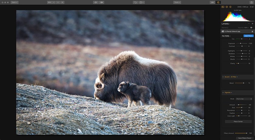 Image Makeover: Using the History Panel with Luminar 2018(6)