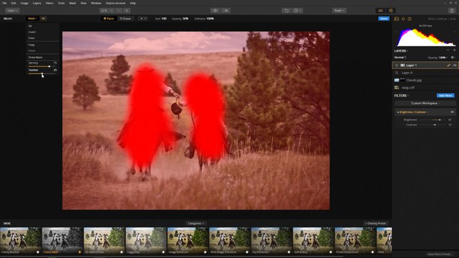 Refining A Mask Using Luminar | Skylum Blog(8)