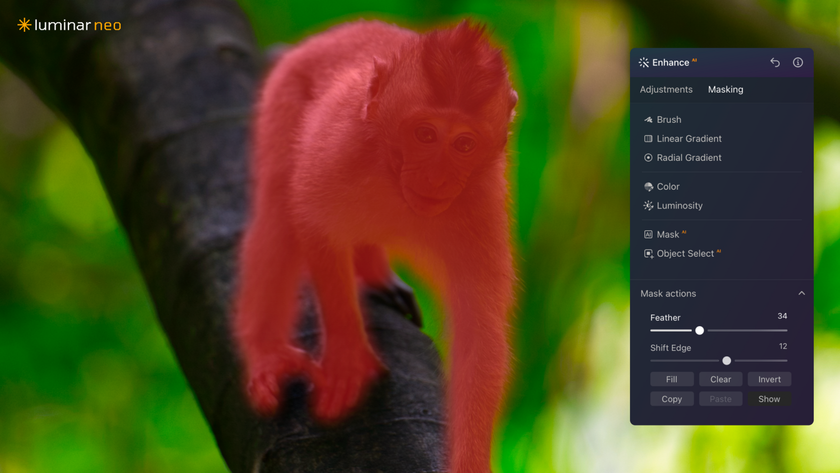 Luminar Introduces an Effortless Portrait Toolkit and New Universal Bokeh AI(3)