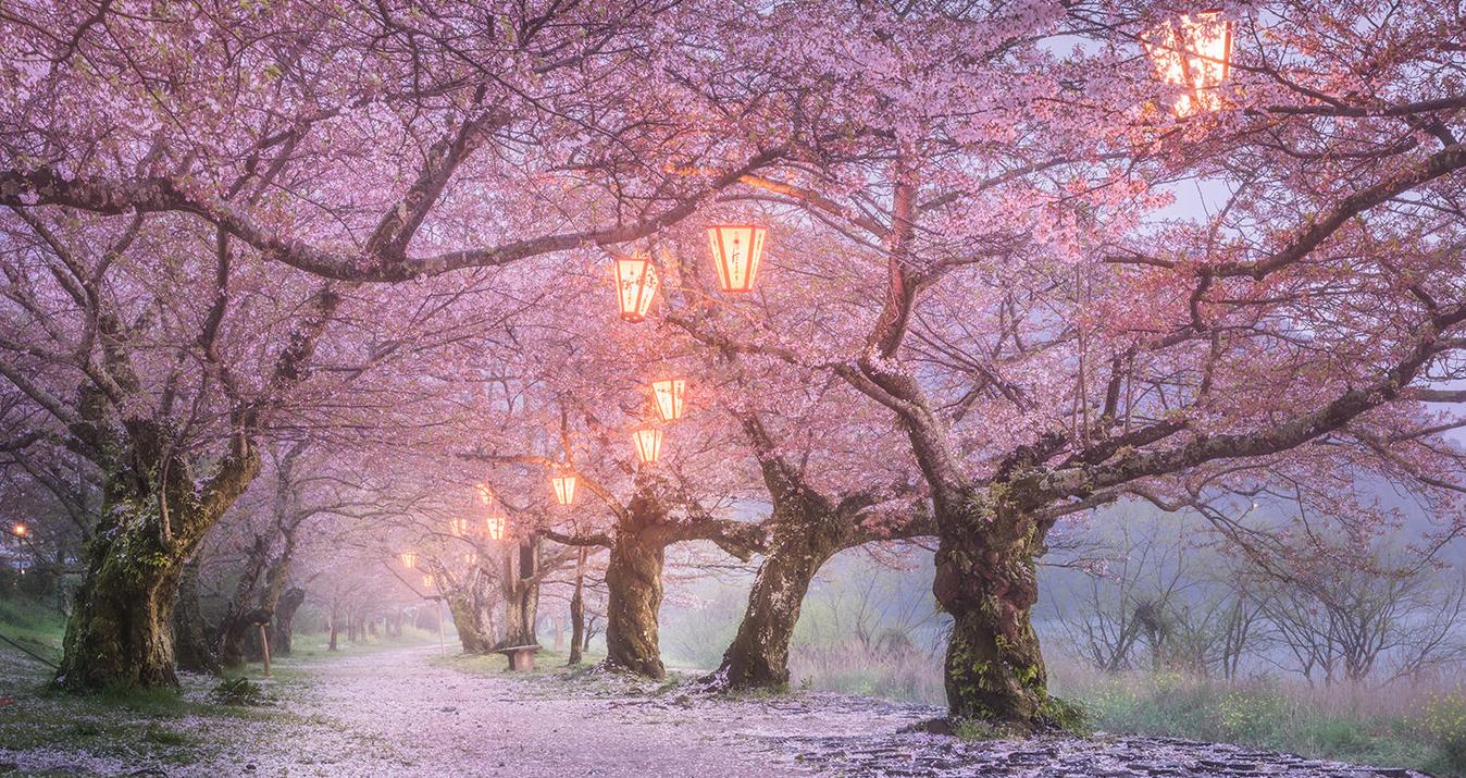 Creating Dreamy Landscape Photos with Luminar's Orton Effect