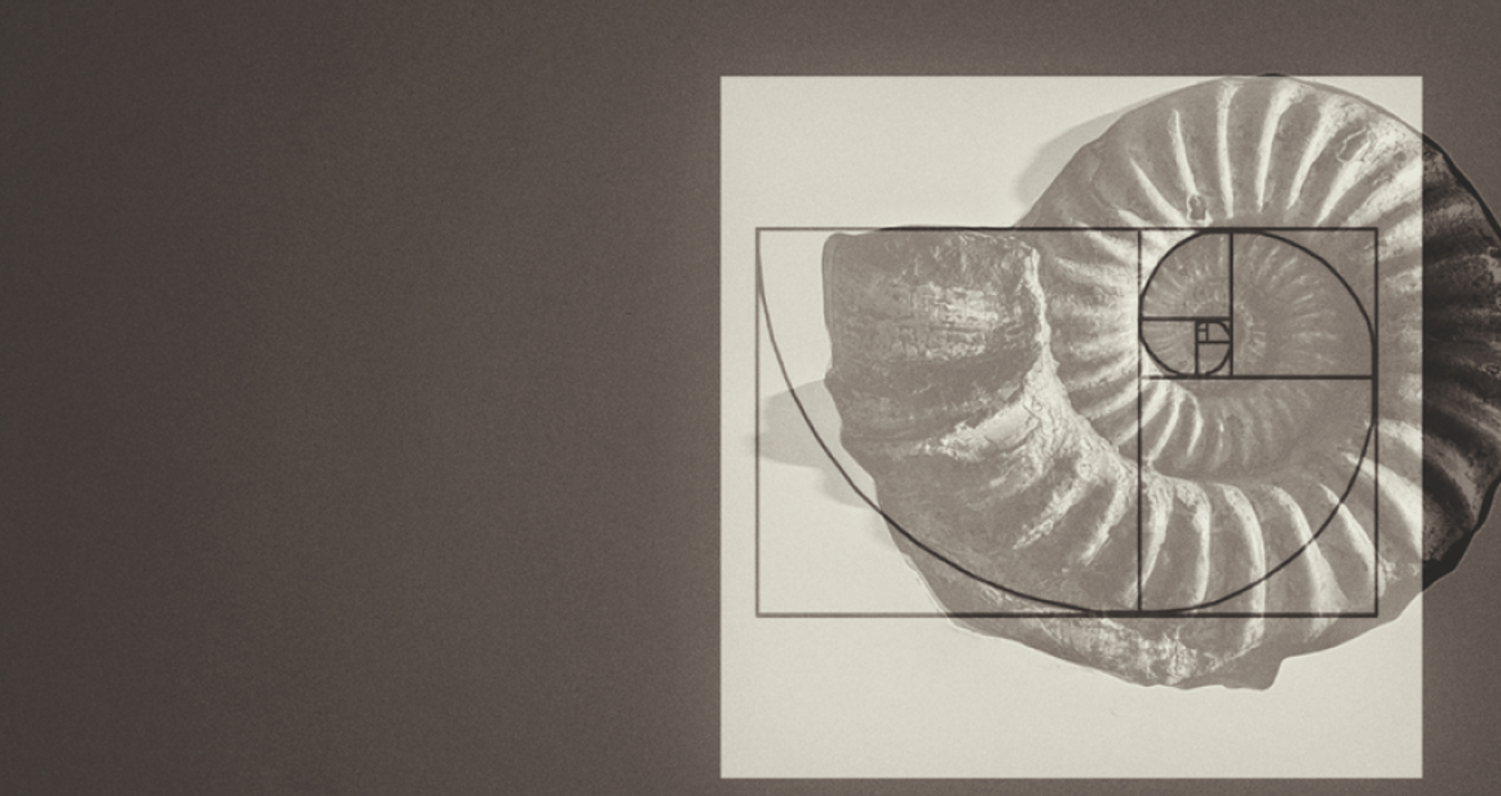 Golden Ratio in Art: The Secret to Perfect Composition